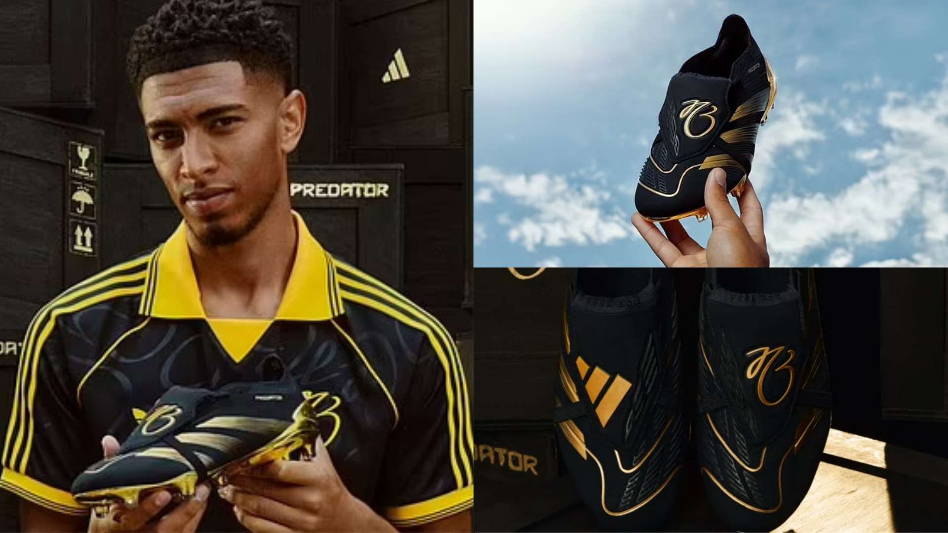 在球场上的 在球场上的