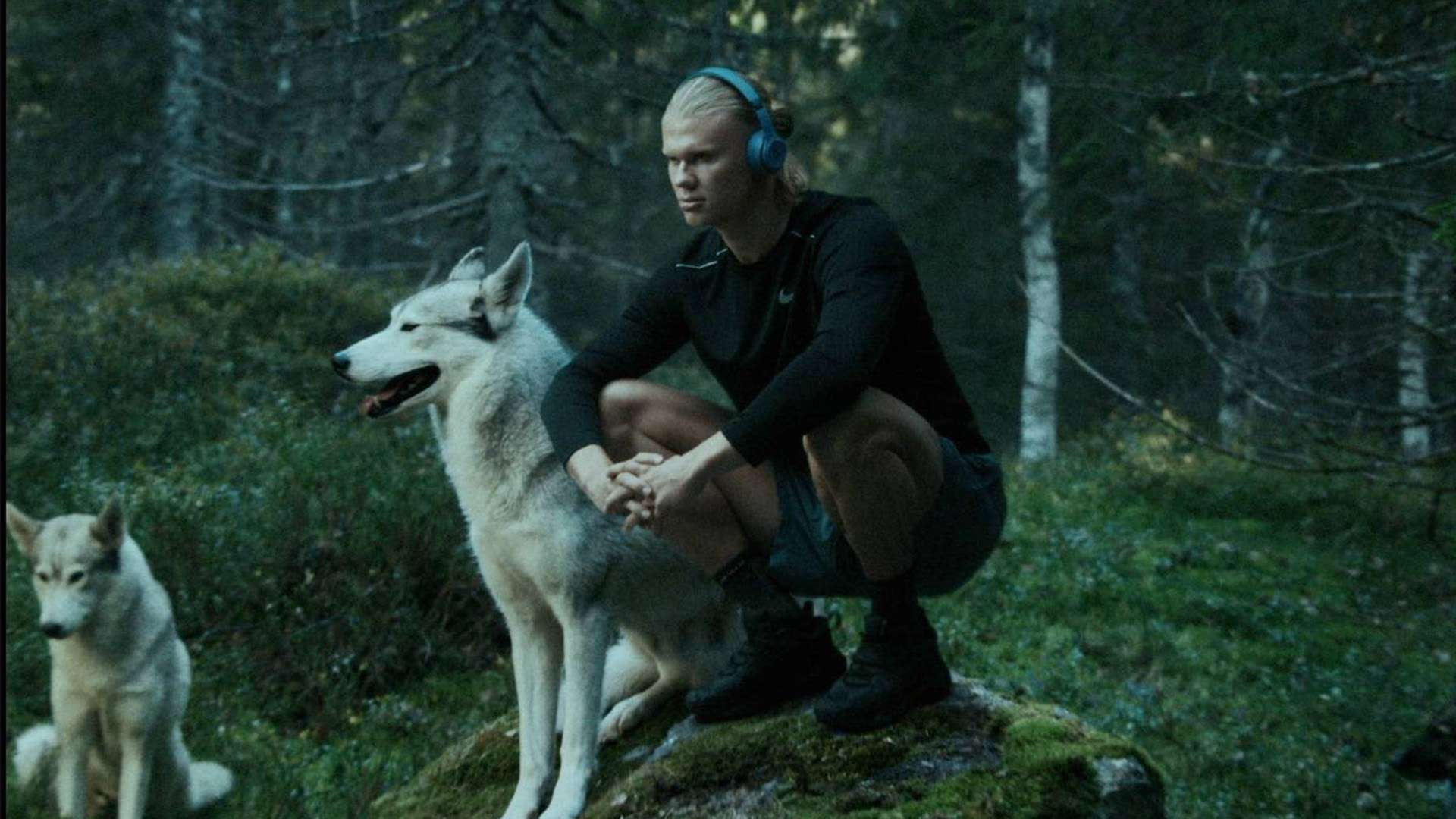 随着年份的 随着年份的