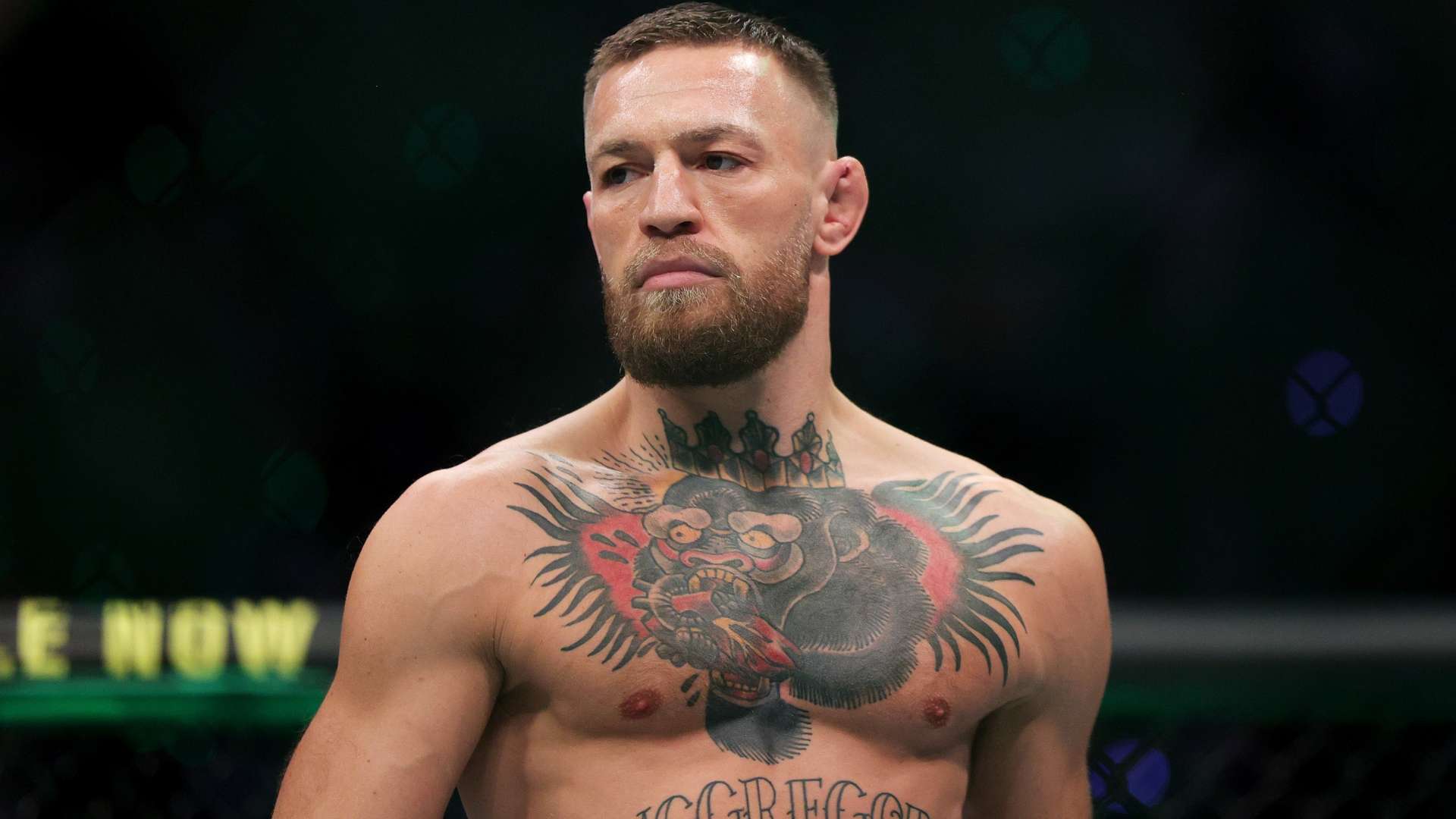 去几届亚洲 去几届亚洲