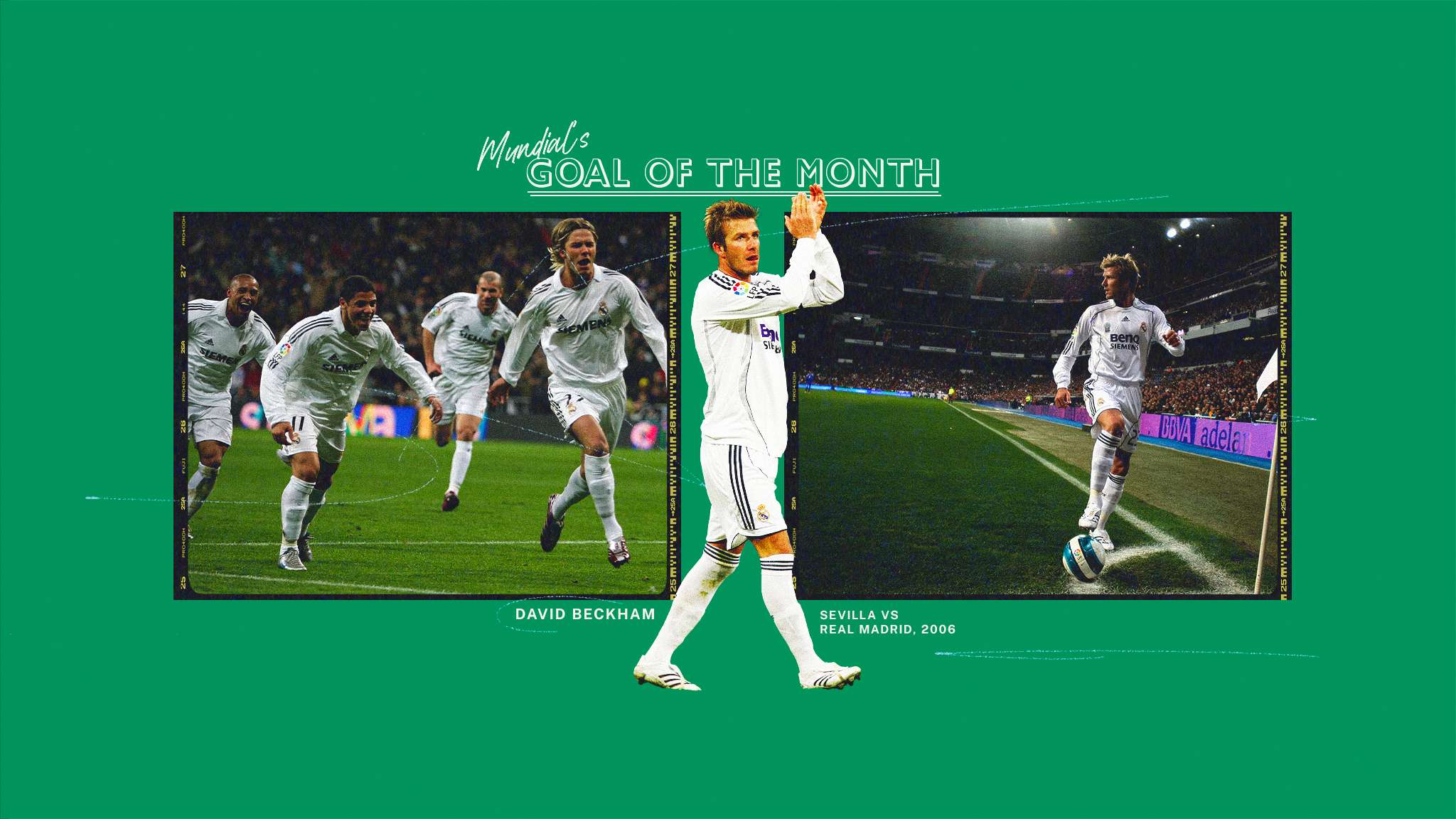 来在青训体 来在青训体